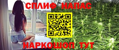 a pvp Можга
