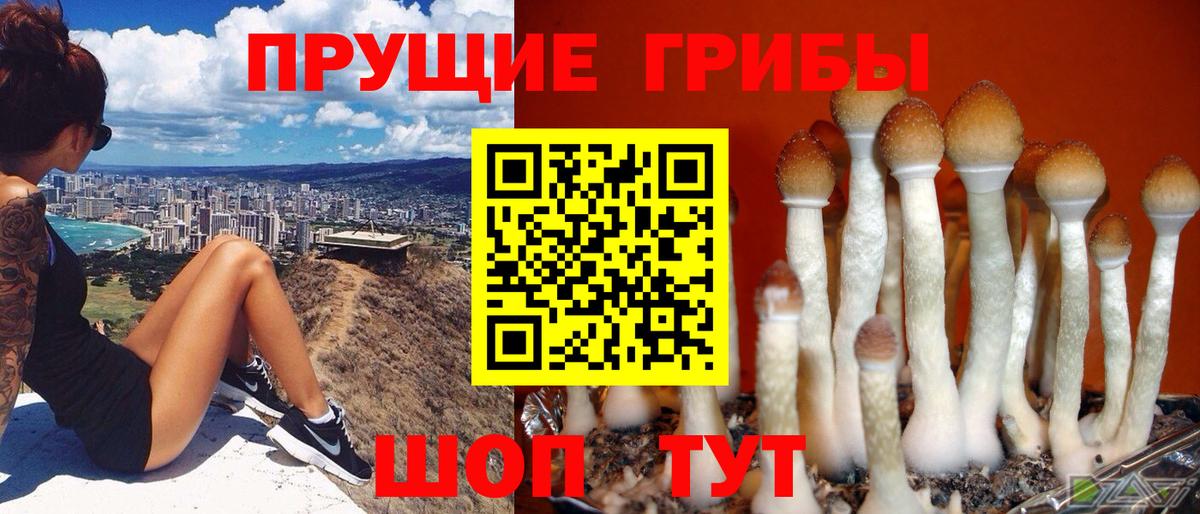 Галлюциногенные грибы Magic Shrooms Солнечногорск